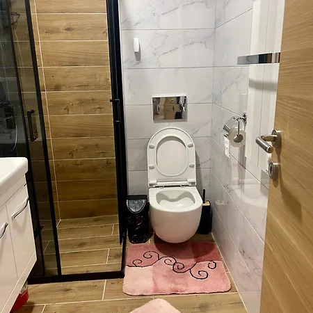 Apartment Nikolic *
